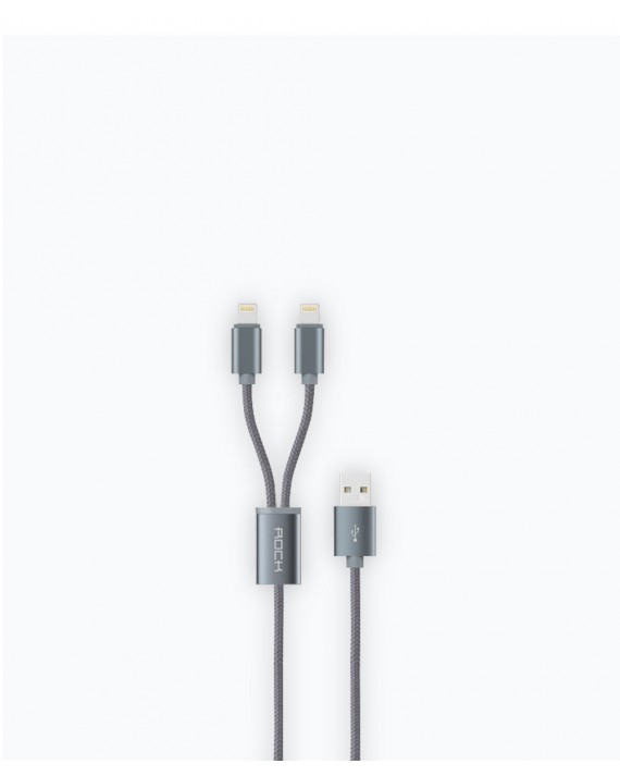 2 in 1 Charging Cable iPhone/iPad/iPod 2A Space Grey