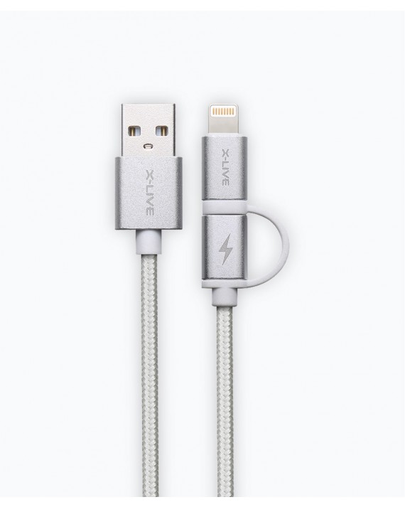 Golden Dragon 2  in 1 Charging Cable 2.1A Silver