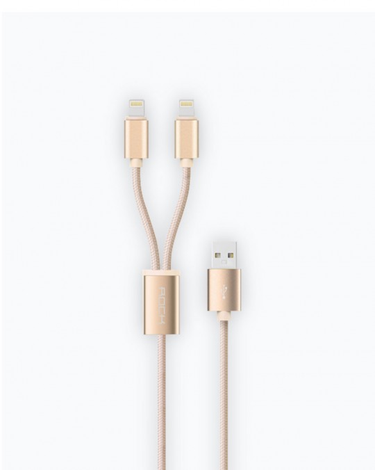 2 in 1 Charging Cable iPhone/iPad/iPod 2A Gold