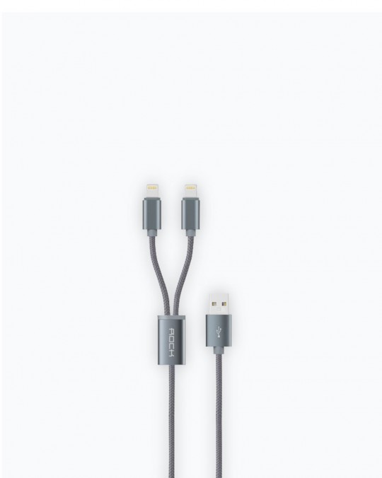 2 in 1 Charging Cable iPhone/iPad/iPod 2A Space Grey